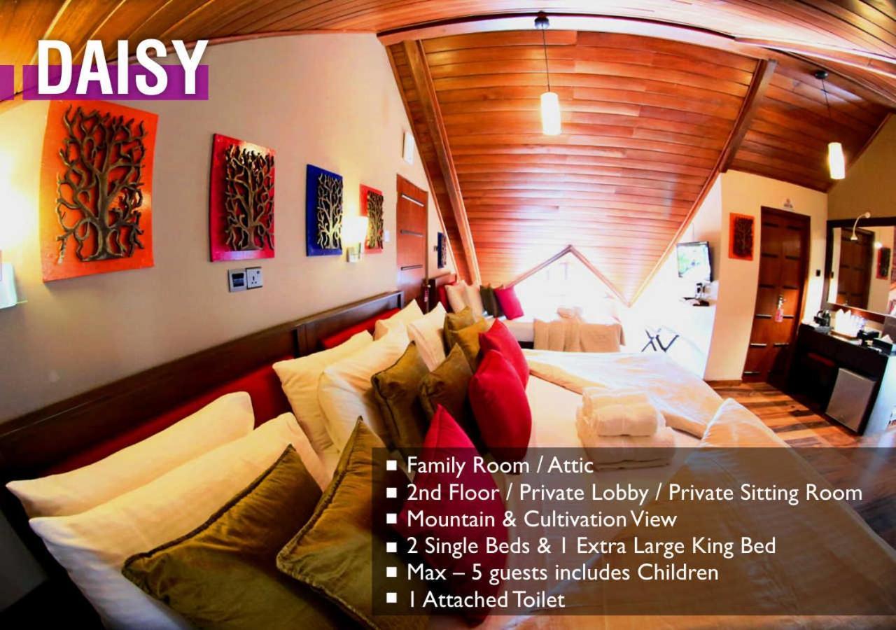 Glory Bush Boutique Villa Νουβάρα Ελίγια Εξωτερικό φωτογραφία