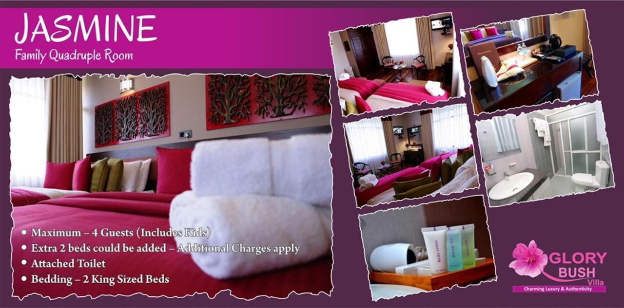 Glory Bush Boutique Villa Νουβάρα Ελίγια Εξωτερικό φωτογραφία
