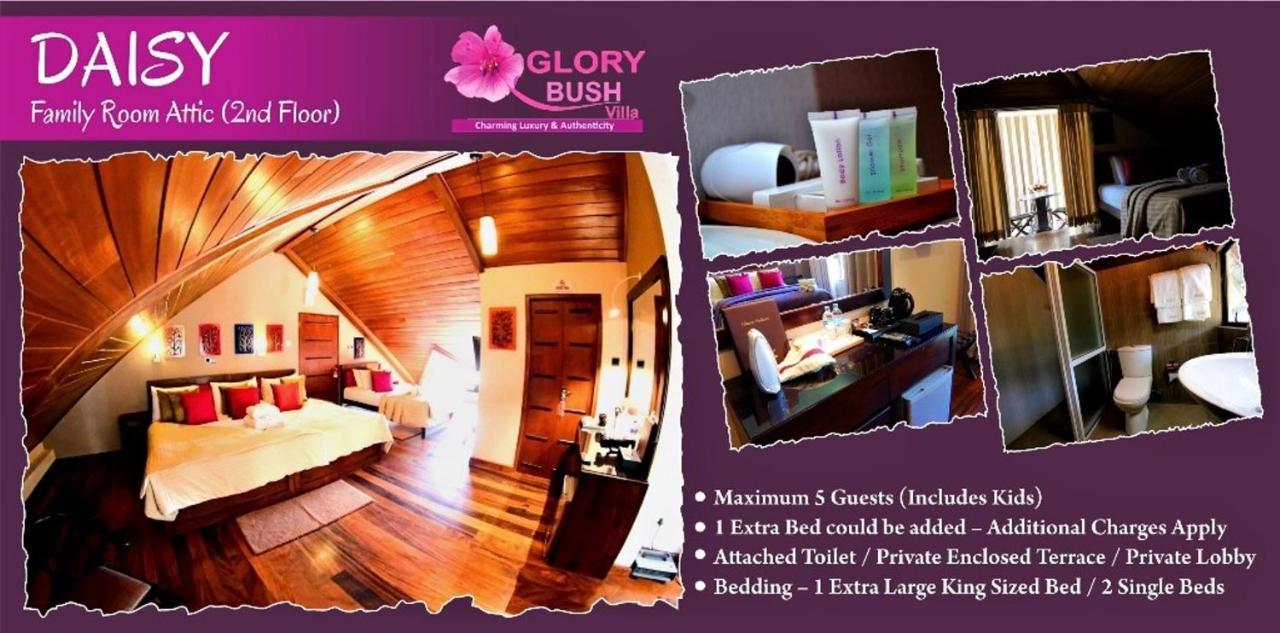 Glory Bush Boutique Villa Νουβάρα Ελίγια Εξωτερικό φωτογραφία